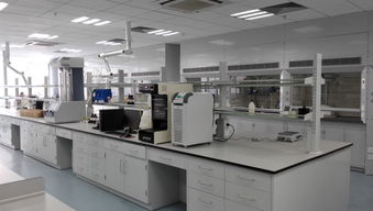 工業(yè)凈化與實(shí)驗(yàn)設(shè)備 包頭鋼木通風(fēng)柜與全鋼實(shí)驗(yàn)臺(tái)廠家的專業(yè)指南